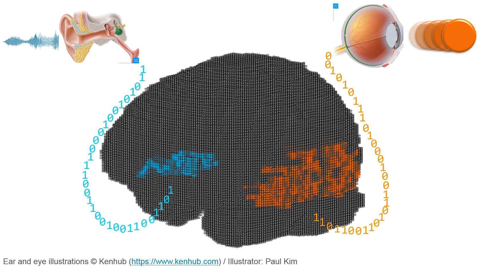 AudioVisual Data Processing and Concept Formation Knowledge